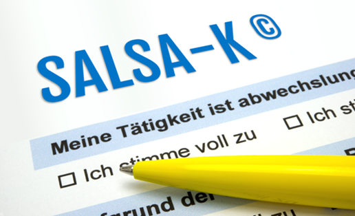 Salutogenetische Subjektive Arbeitsanalyse | Kurzform